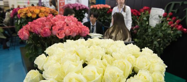 Выставка цветов Выставка цветов - Sputnik Казахстан