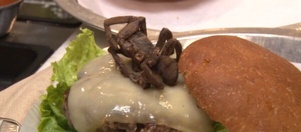 Блюдо с пауком предлагают в одном из ресторанов США - Sputnik Казахстан