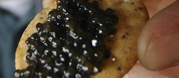 Черная икра, архивное фото - Sputnik Казахстан