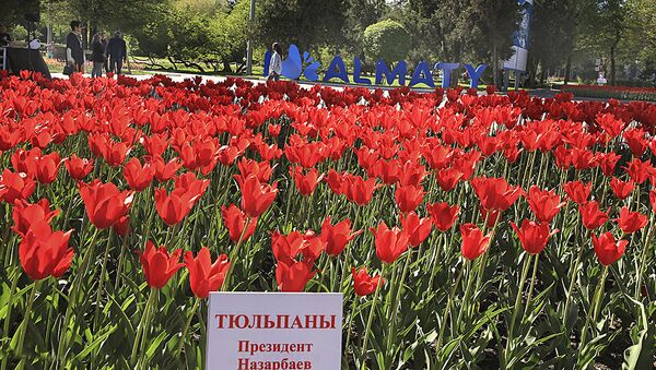 Фестиваль тюльпанов - сорт Президент Назарбаев, архивное фото - Sputnik Казахстан