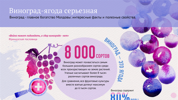 Польза и вред винограда - Sputnik Казахстан