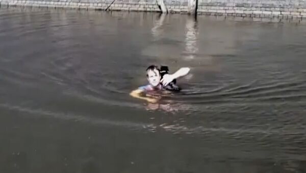 Мужчина спас застрявшего посреди водоема кота - Sputnik Казахстан