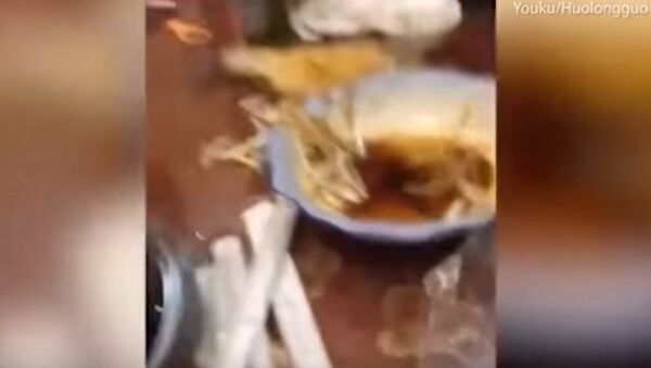 В китайском ресторане рыба выпрыгнула из тарелки - Sputnik Казахстан