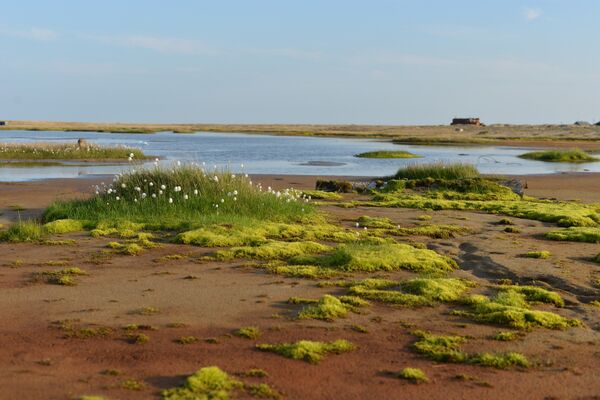 Отряд добровольцев впервые отправился в экологическую экспедицию в 2012 году - Sputnik Казахстан