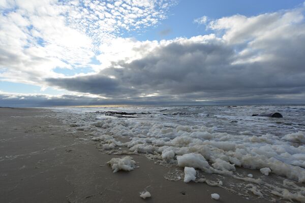 Волонтерам понадобилось пять лет, чтобы полностью очистить от отходов остров Белый - Sputnik Казахстан