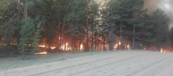 Лесной пожар в Семее - Sputnik Казахстан