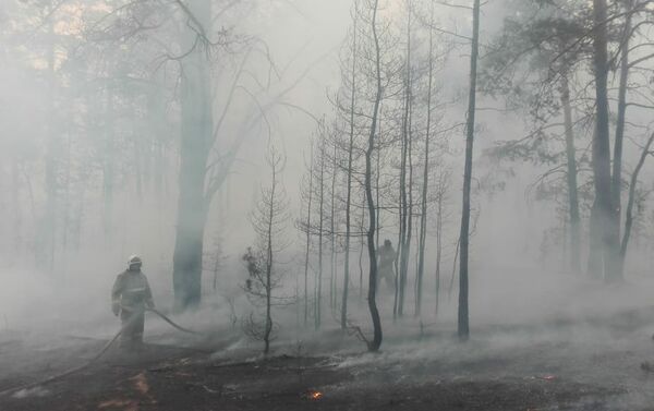 Лесной пожар в Семее - Sputnik Казахстан