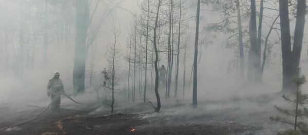 Лесной пожар в Семее - Sputnik Казахстан