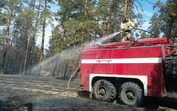 В Краснокардонском лесничестве ситуация по лесному пожару стабилизируется - Sputnik Казахстан