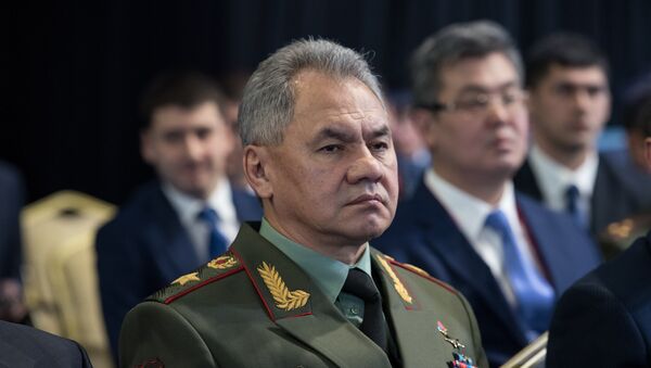 Министр обороны Российской Федерации Сергей Шойгу - Sputnik Казахстан