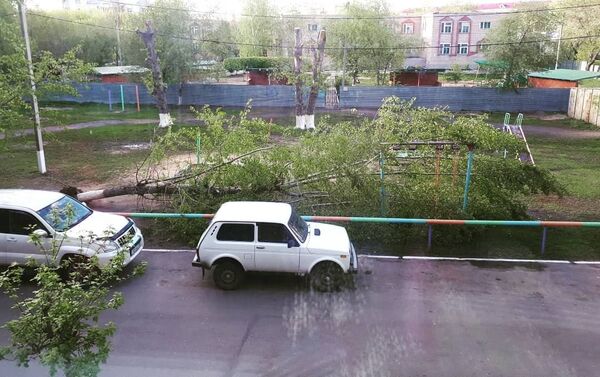 Ураганный ветер бушует в Петропавловске - Sputnik Казахстан