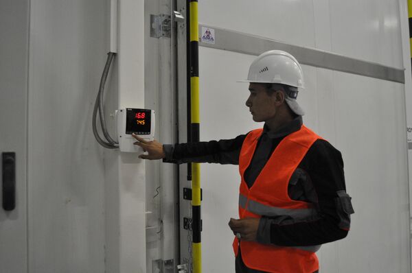 Климатические камеры в ТЛЦ поддерживают температуру до минус 24 градусов - Sputnik Казахстан