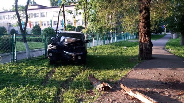 Девушка на Toyota Land Cruiser снесла несколько деревьев и врезалась в забор школы - Sputnik Казахстан