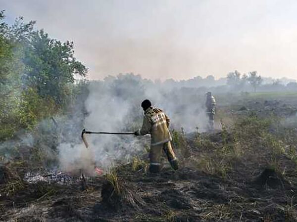 В Усть-Каменогорске пожарные подразделения продолжают тушить сухую траву на острове, расположенном посредине реки Иртыш В Усть-Каменогорске пожарные подразделения продолжают тушить сухую траву на острове, расположенном посредине реки Иртыш - Sputnik Казахстан