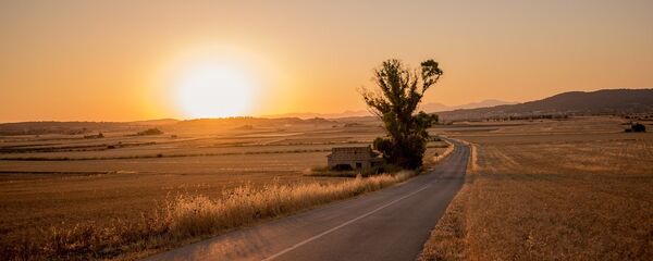 Дорога в степи - Sputnik Казахстан