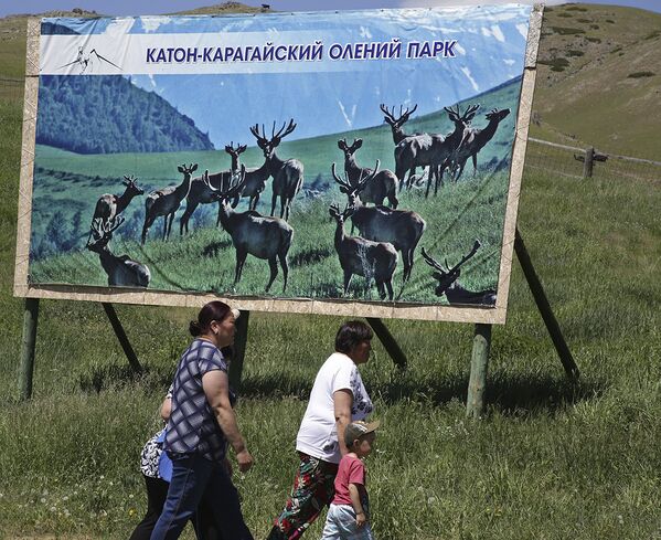 Катон-Карагайский олений парк в ВКО - Sputnik Казахстан