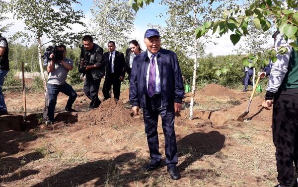 Нурсултан Назарбаев сажает деревья во время посещения Зеленого пояса вокруг Астаны - Sputnik Казахстан