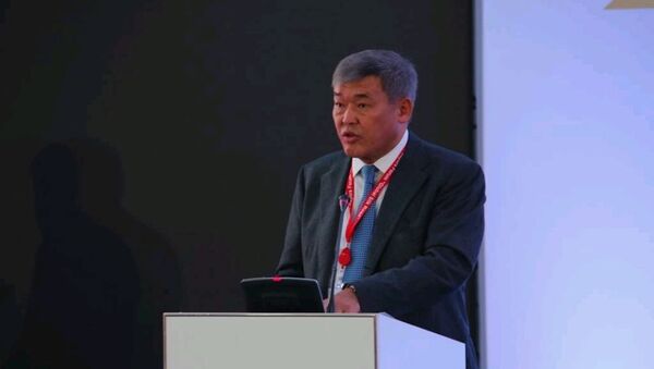 Руководитель международного центра зеленых технологий и инвестиционных проектов Рапиль Жошыбаев - Sputnik Казахстан