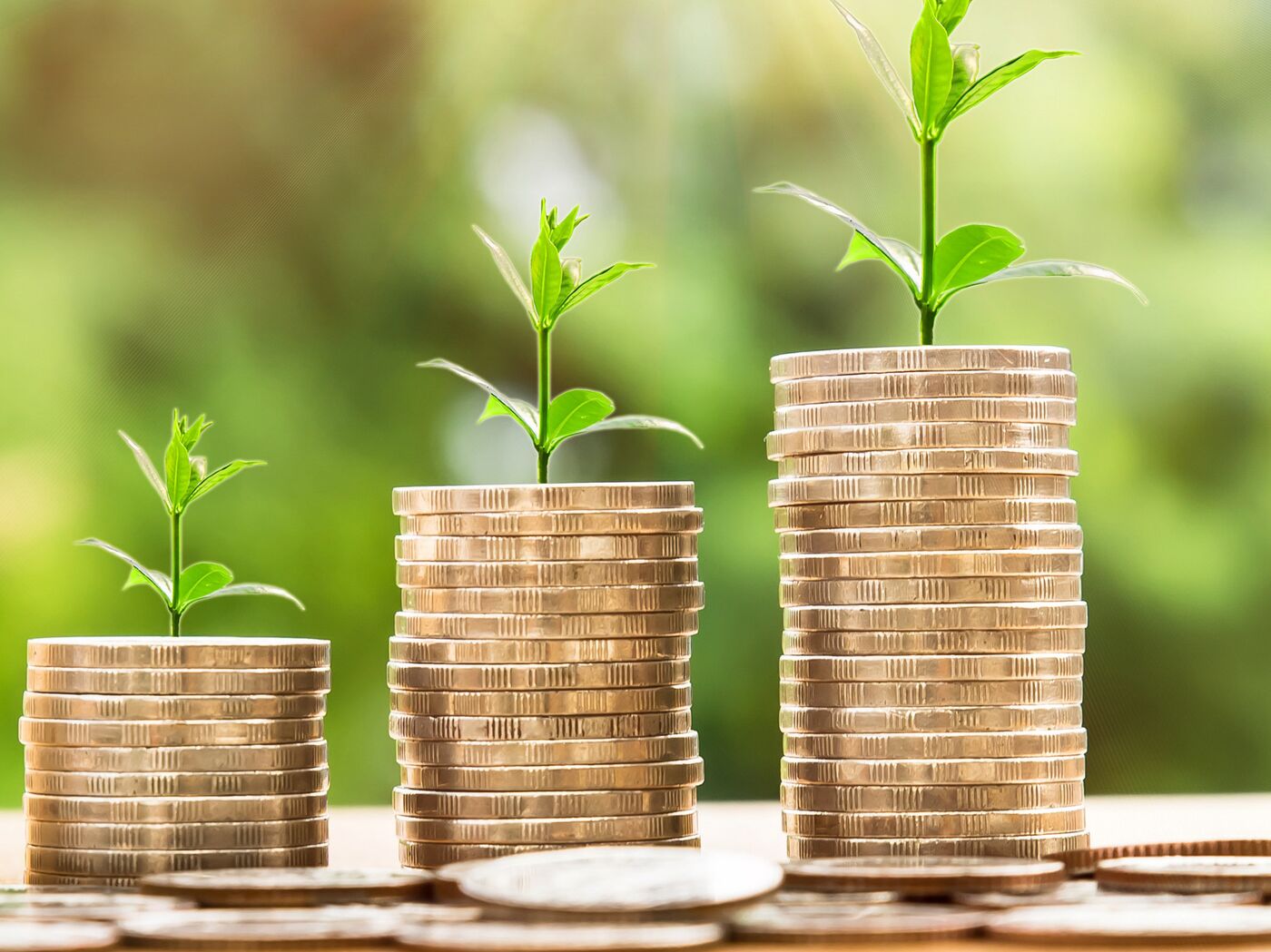 Порно видео царина