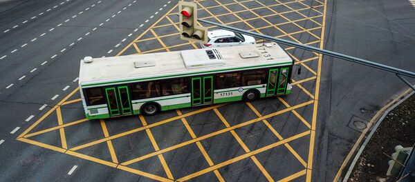 Разметка вафельница, архивное фото Разметка вафельница, архивное фото - Sputnik Казахстан