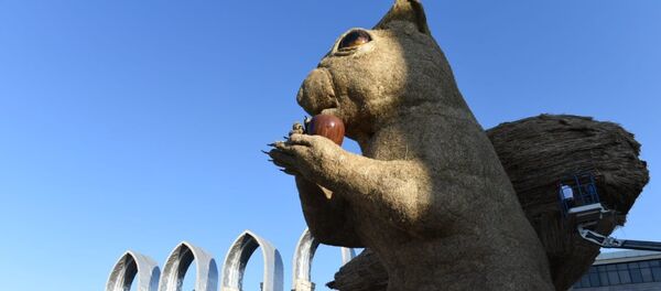 Алып тиін - Sputnik Қазақстан