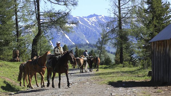 Восточно-Казахстанская область, архивное фото - Sputnik Казахстан