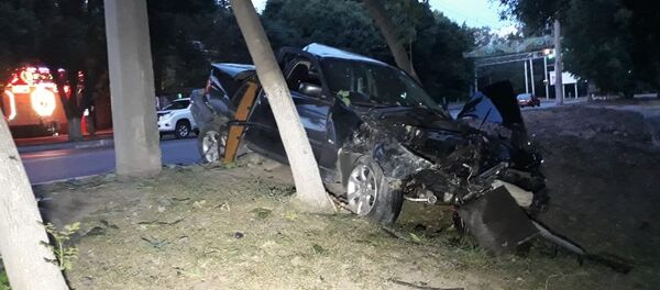 БМВ ағашқа соғылды БМВ ағашқа соғылды - Sputnik Қазақстан