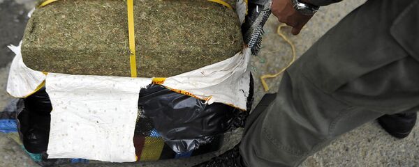 Коробка с марихуаной, архивное фото - Sputnik Казахстан