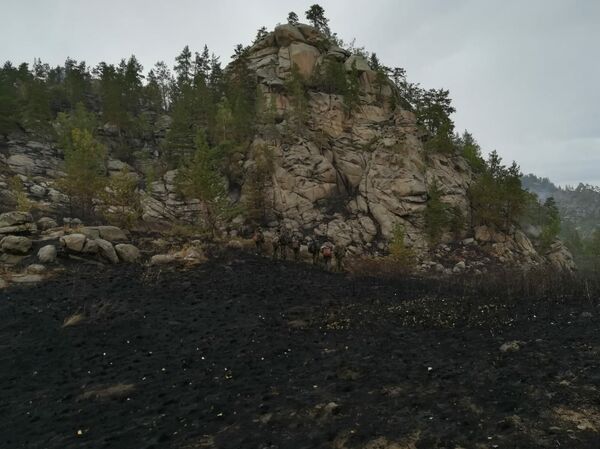 Лесной пожар в ВКО - Sputnik Казахстан