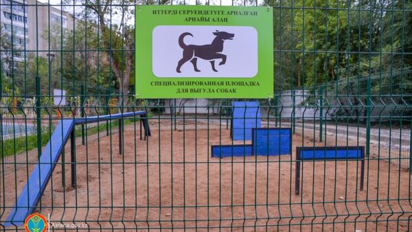 Площадка для выгула собак впервые появилась в Астане - Sputnik Казахстан