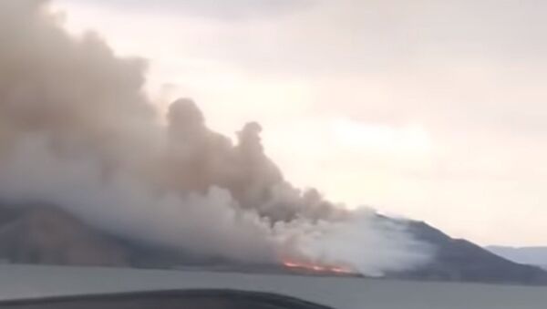 Пожар на Бухтарминском водохранилище - Sputnik Казахстан