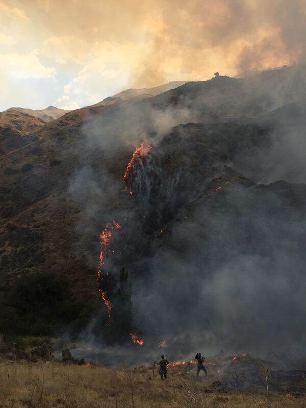 Тушение пожара на границе Казахстана и Кыргызстана Тушение пожара на границе Казахстана и Кыргызстана - Sputnik Казахстан