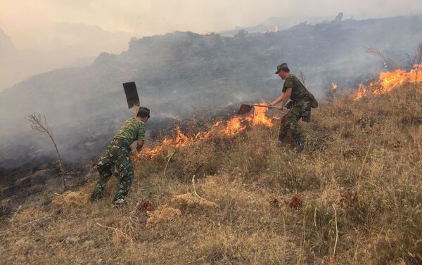 Тушение пожара на границе Казахстана и Кыргызстана - Sputnik Казахстан