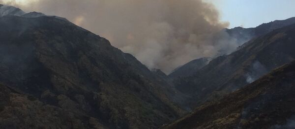 Тушение пожара на границе Казахстана и Кыргызстана - Sputnik Казахстан