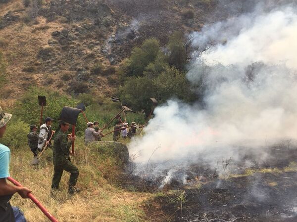 Тушение пожара на границе Казахстана и Кыргызстана Тушение пожара на границе Казахстана и Кыргызстана - Sputnik Казахстан