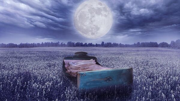 Кровать в поле под открытым небом, иллюстративное фото - Sputnik Казахстан