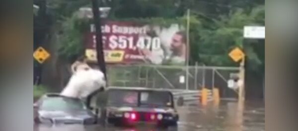 В США спасли девушку в свадебном платье из тонущего автомобиля - Sputnik Казахстан