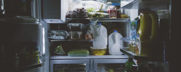 Тоңазытқыш - Sputnik Қазақстан