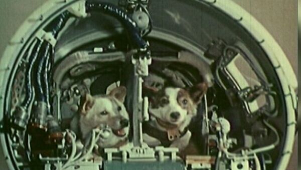Белка и Стрелка совершили космический полёт на корабле Спутник-5 19 августа 1960 года - Sputnik Казахстан