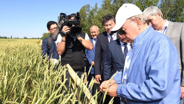 Посещение сельскохозяйственного комплекса ТОО Журавлевка-1 - Sputnik Казахстан