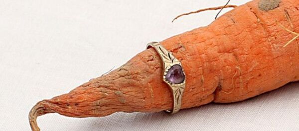 Колечко на морковке - Sputnik Казахстан