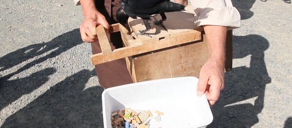 Ворон-уборщик - Sputnik Казахстан