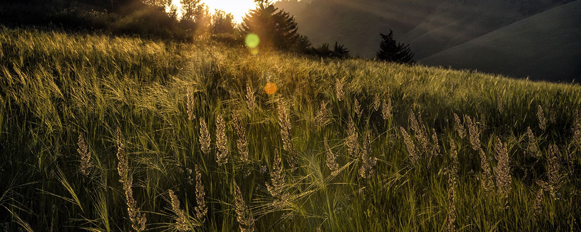 Дала - Sputnik Қазақстан, 1920, 02.04.2026