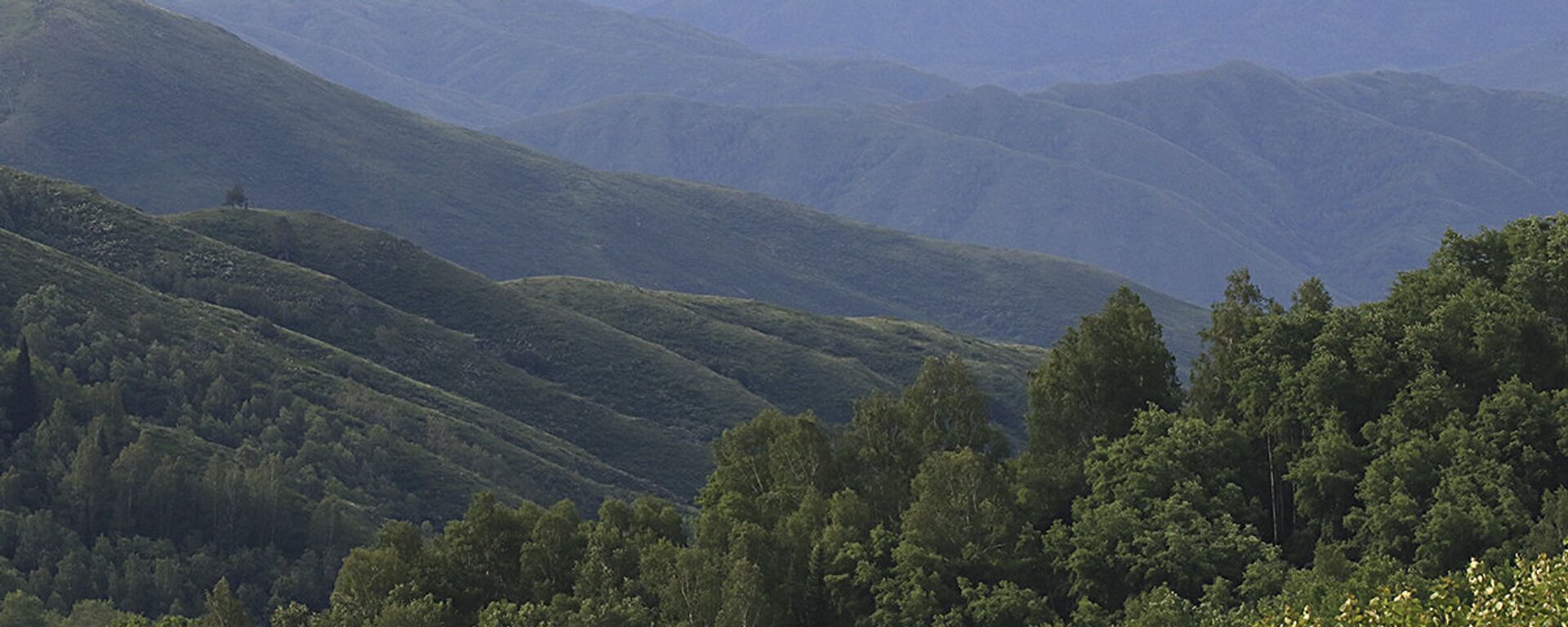 Шығыс Қазақстан табиғаты - Sputnik Қазақстан, 1920, 04.11.2025