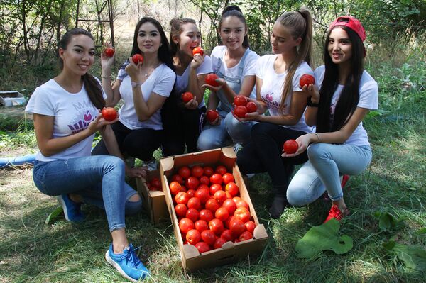 Сұлулық байқауына қатысушылар ауылға барды - Sputnik Қазақстан