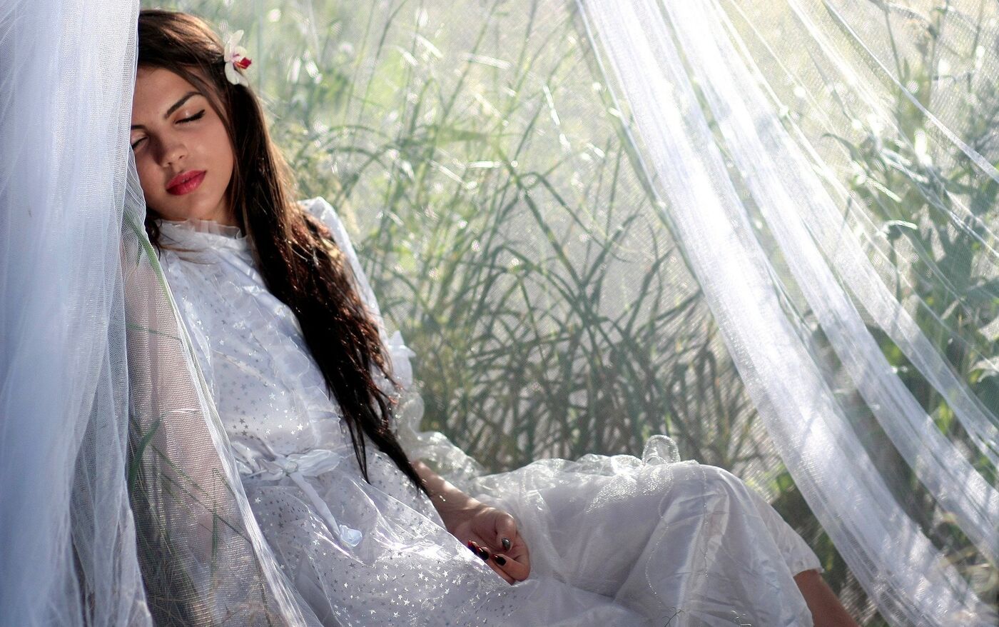 Шейхтің гареміндегі порно онлайн көру