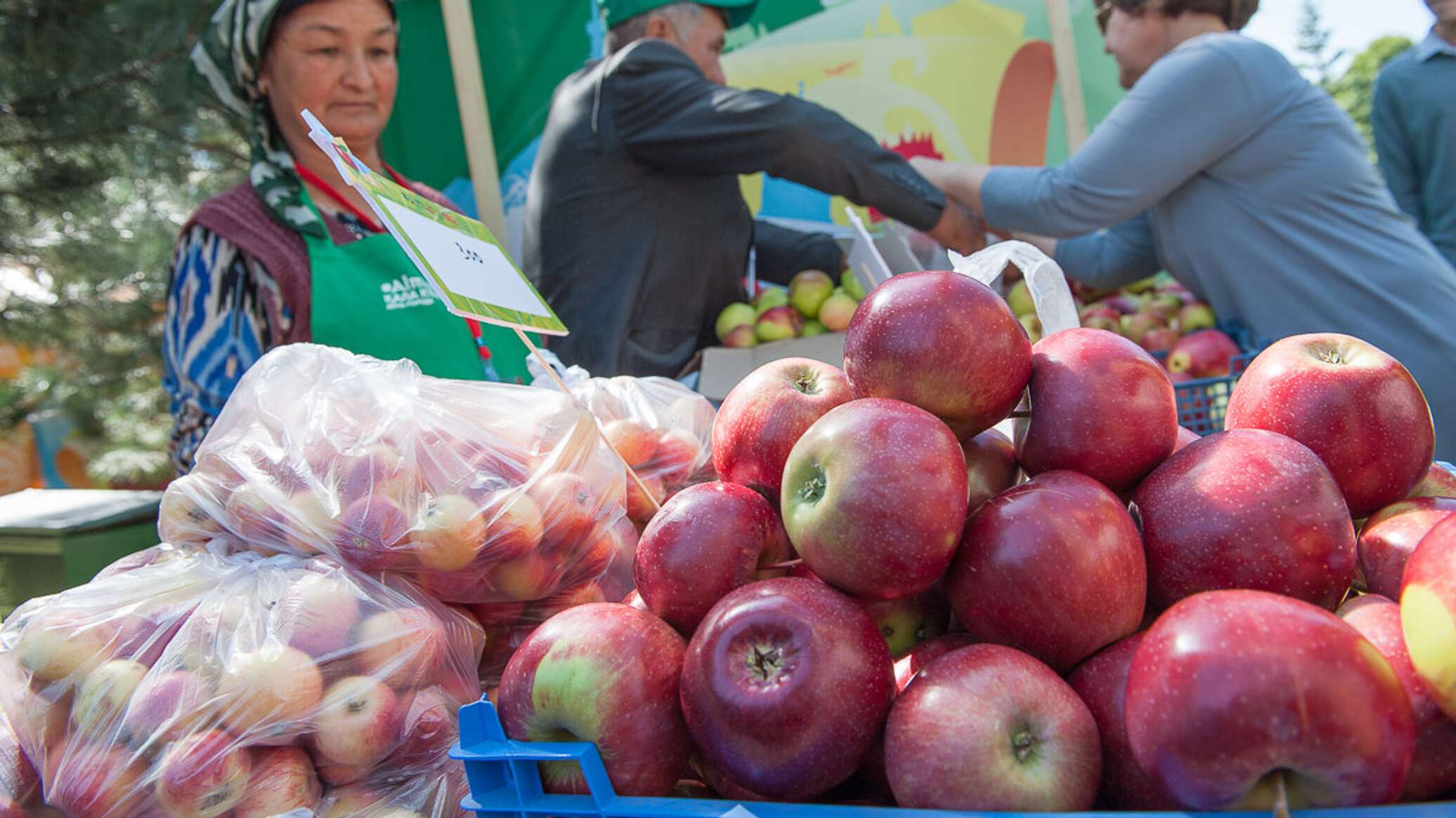 Фестиваль яблок в Алматы