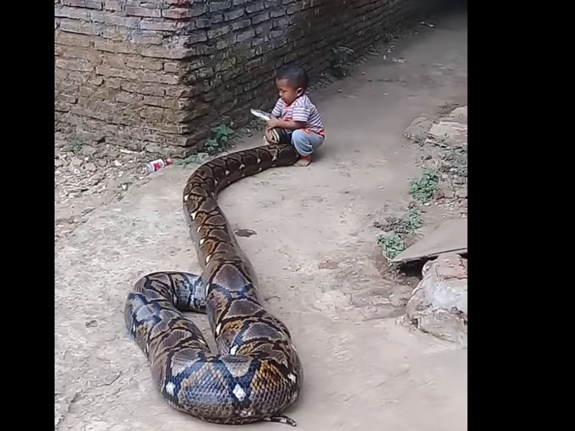 Убегать от змеи