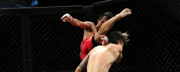 Поединок бойцов MMA, иллюстративное фото - Sputnik Казахстан