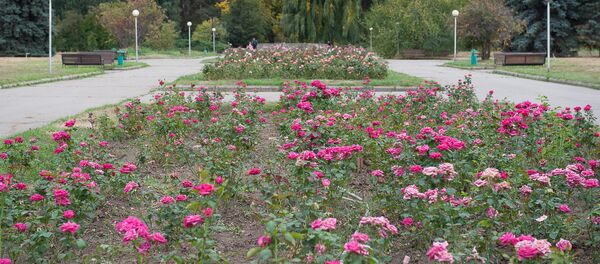 Ботанический сад в Алматы Ботанический сад в Алматы - Sputnik Казахстан